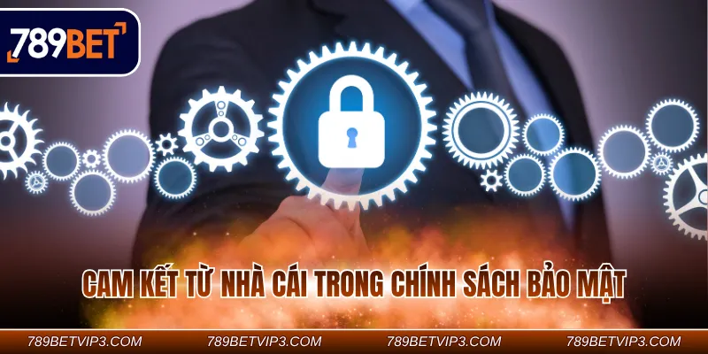 Cam kết của trang trong chính sách bảo mật đầy đủ